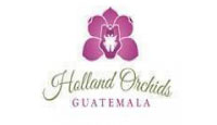 Holland Orchids