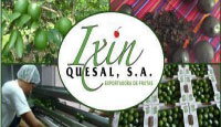 Ixin Quesal, S.A.