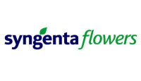 SYNGENTA